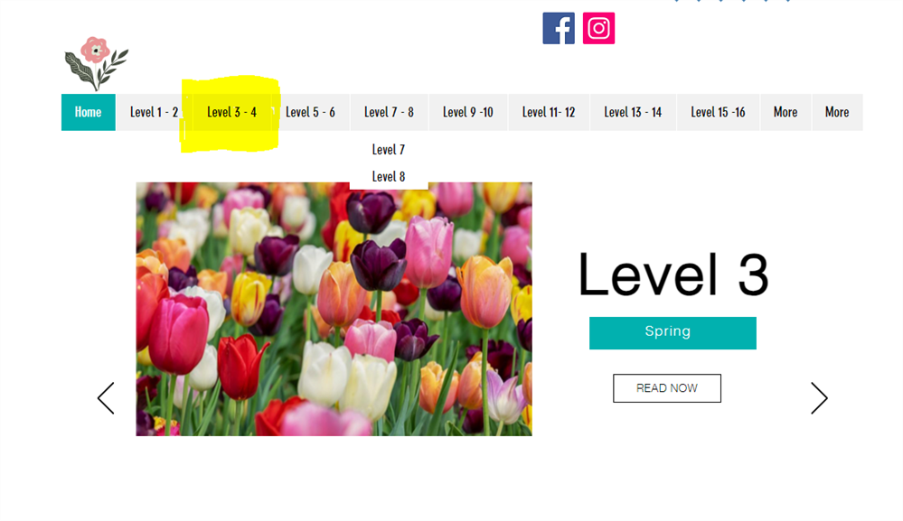 Website